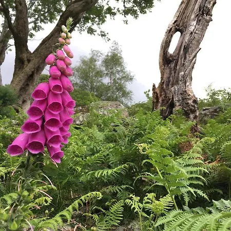 Апартаменты Robinsons Cottage, And Quiet *