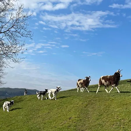 Robinsons Cottage, And Quiet * Кокермут