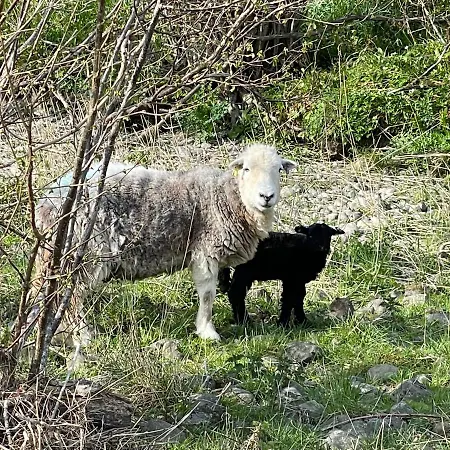 Апартаменты Robinsons Cottage, And Quiet *