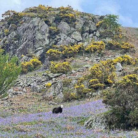 Апартаменты Robinsons Cottage, And Quiet *